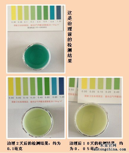 清除甲醛后的效果比較